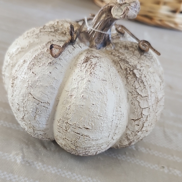 TAG Rustic Cream Pumpkin Decor - Picture 3 of 6